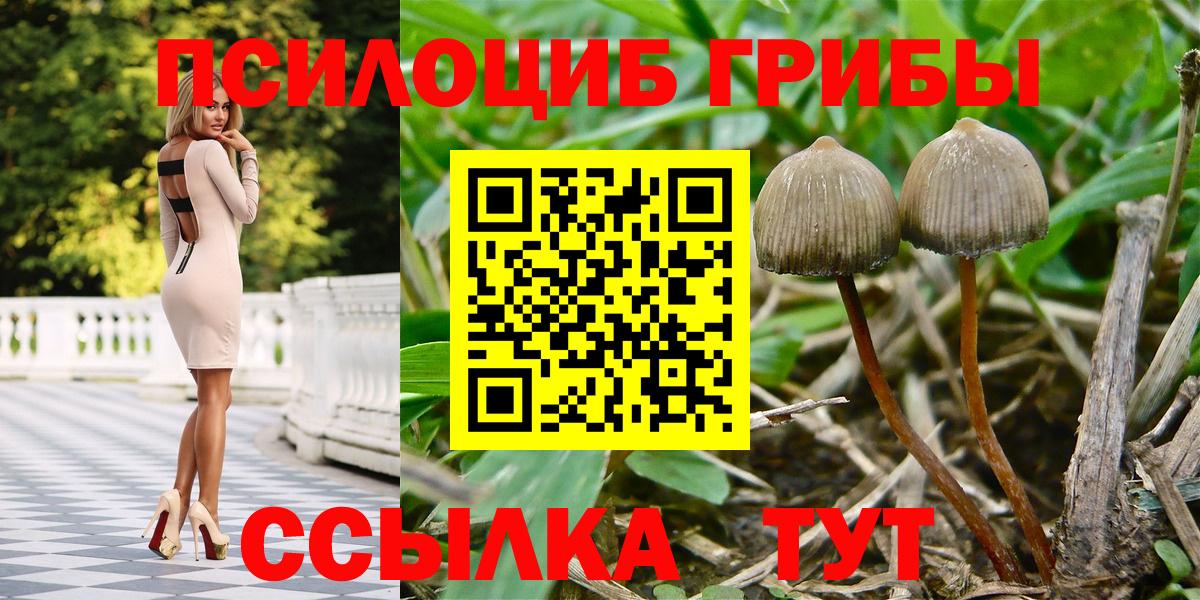 Кинель  хочу   Вход с VPN  Галлюциногенные грибы Magic Shrooms 