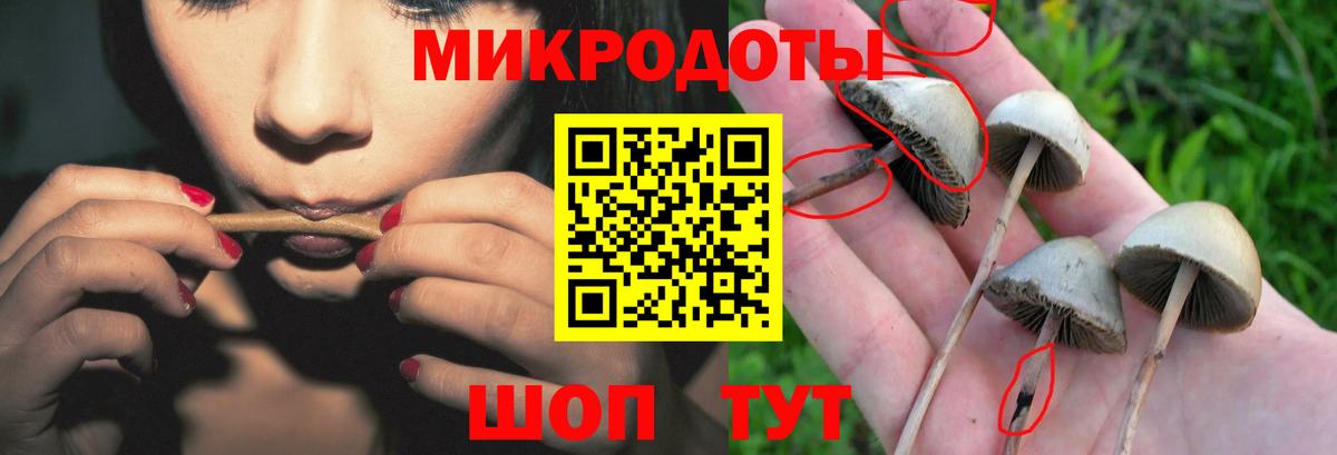 Галлюциногенные грибы Cubensis Кинель